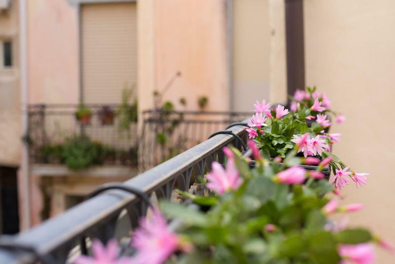 Dimore Delle Zagare Ortigia Syracuse Ngoại thất bức ảnh